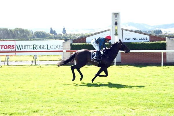 Northern visitor too strong in Hazlett Stakes