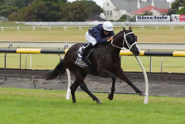 Brazen mare back on track at New Plymouth