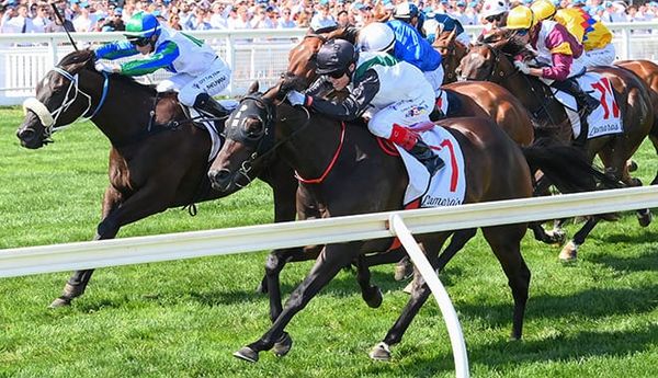 Ryder is likely for I Wish I Win