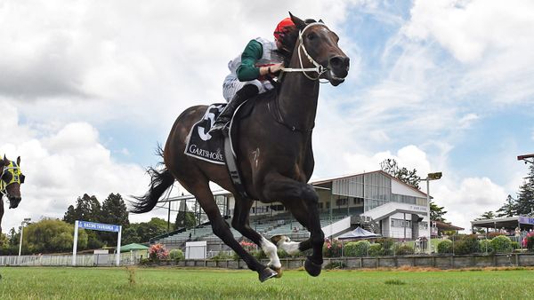 Penman enters NZB Kiwi calculations following Tauranga win