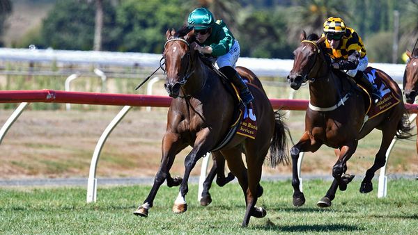 Wexford filly lives up to her name at Te Aroha