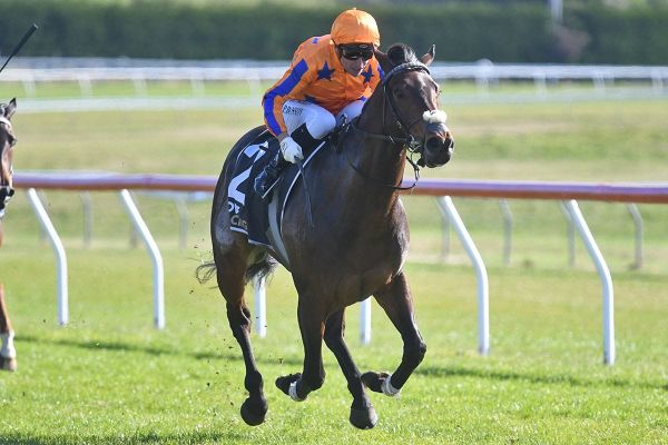 Taupo test for Te Akau pair