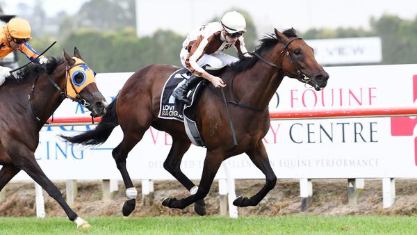 Legarto Set for Highly Anticipated Comeback