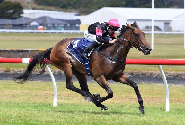 Kheir buys into NZ Oaks favourite