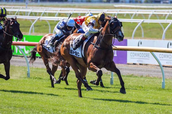 Lilly flying ahead of stakes debut