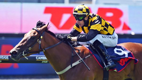 Sky is the limit for Sistema-bound filly