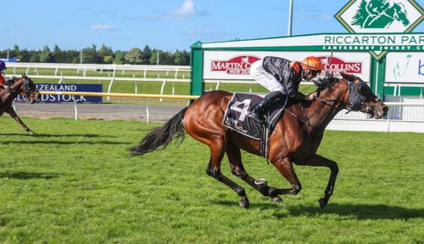 Mehzebeen on Adelaide Cup path