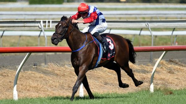 Wallbank’s pride and joy stars on home track