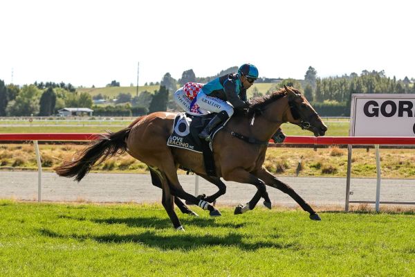 In Vegas plays winning hand in Gore Cup