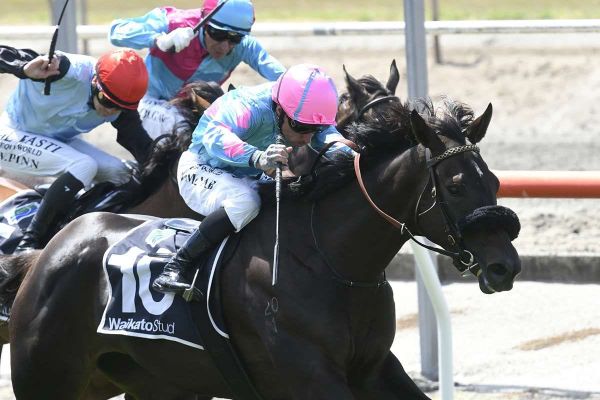 Moschino making her mark for Falconer