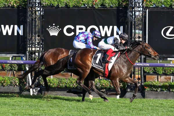 Brightside leads Lindsay Park’s top contenders