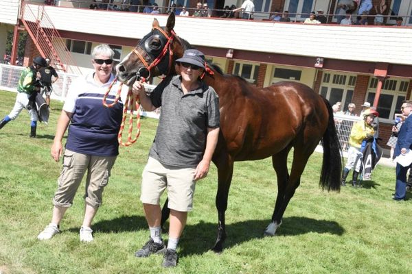Mr Intelligence scores smart win in Wingatui distance feature