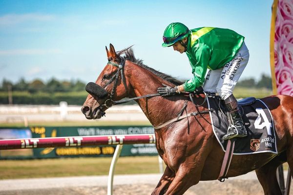 Noble Knight too tough in Invercargill Gold Cup