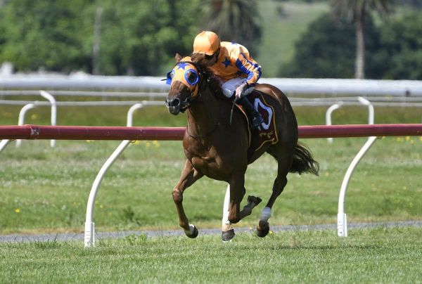 Te Akau fillies on stakes trial at Riccarton