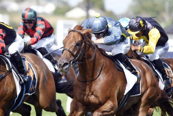 James unveils another Derby hopeful