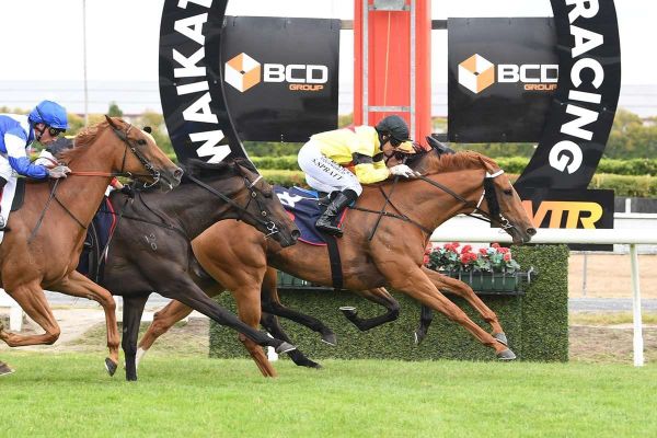 Sprint trip the key for One More Dance