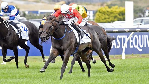 Kingsclere trio on song for Champions Day