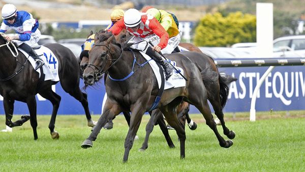 James and Wellwood set for more time in Ellerslie spotlight