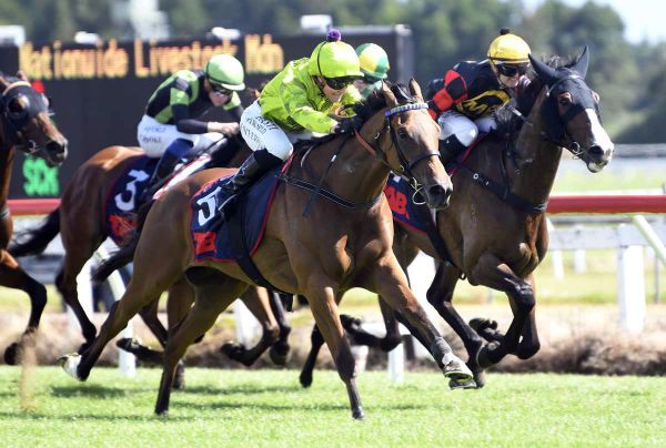 Timely tilt at lucrative Te Rapa prize