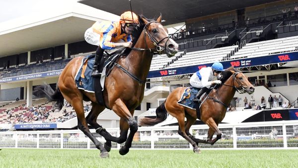 Unbeaten colt conquers Group Three