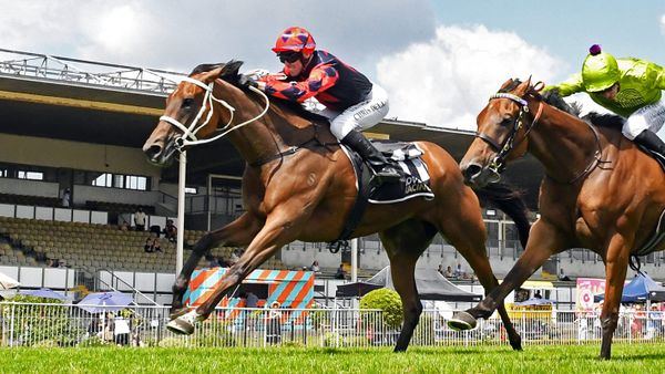 Risque Ruler storms to victory in Karapiro Classic