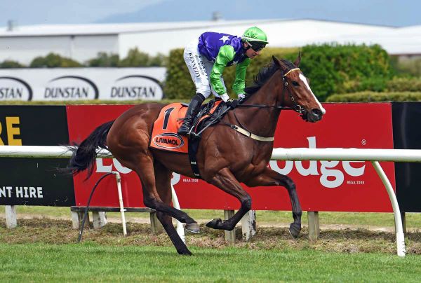 Auckland Cup calling for Sassy Lass