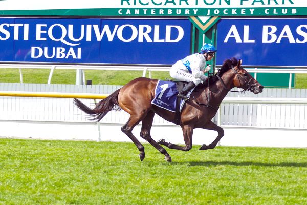 Moroney wary of Savaglee