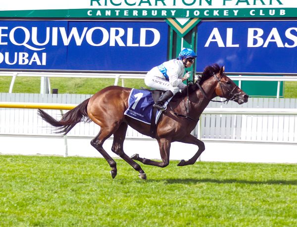 Savaglee ready to take on older rivals at Te Rapa