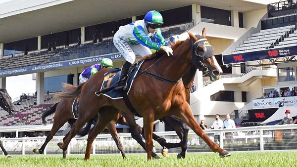 Sethito shines in NZB Kiwi audition