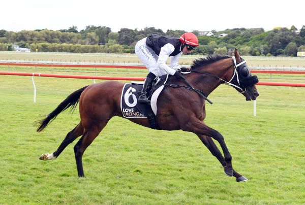 Allen Set to Ride at Ellerslie
