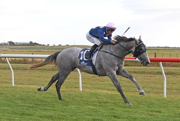 Big journey pays off for Waverley mare