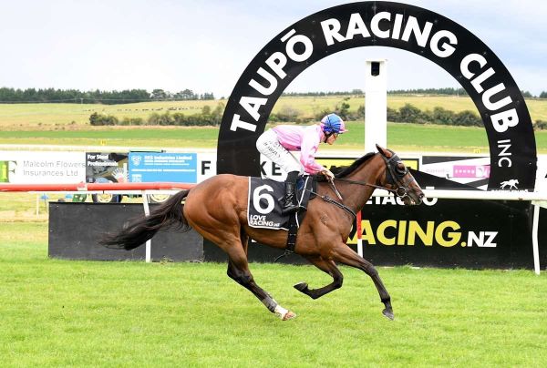 Sugah Sweet back for another shot at Breeders