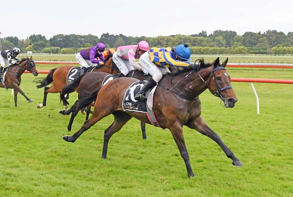 Sword In Stone Eyes Auckland Cup Berth