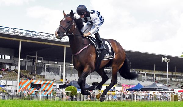 Tuxedo stakes Derby claim