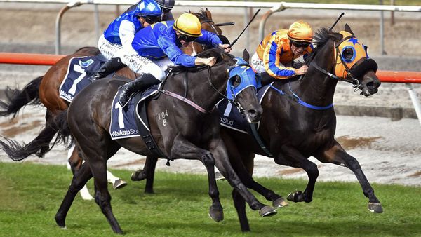 What You Wish For completes big treble for Te Akau