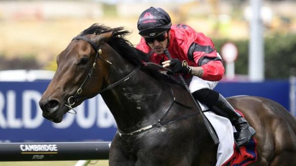 Derby favourite dominates at Ellerslie
