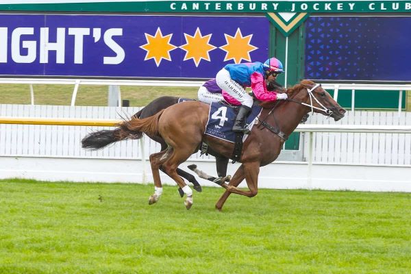 Walsh seeking to double-up at Riccarton