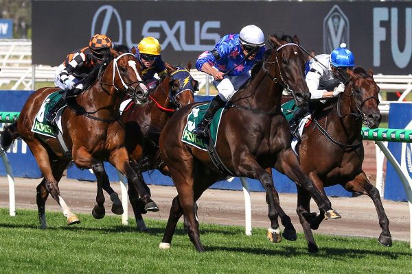 Feroce goes one better in Australian Guineas