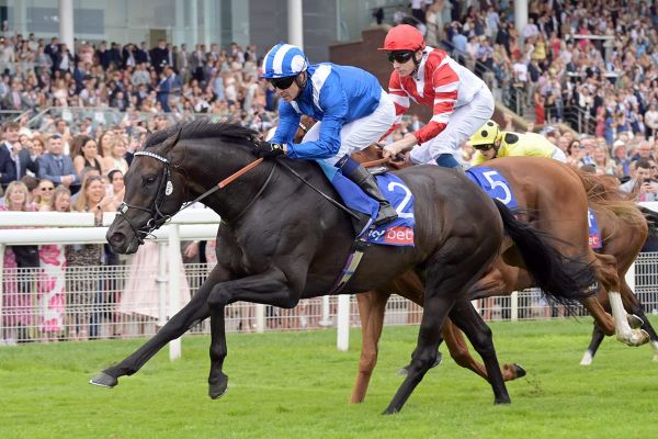 Alflaila to stand at White Robe Lodge