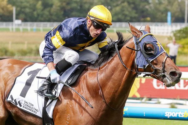 Brisbane calling Bankers Choice