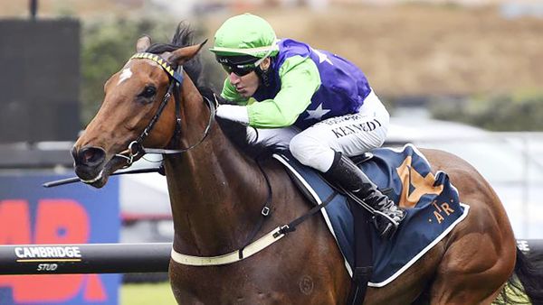 Checkmate bound for Rosehill feature