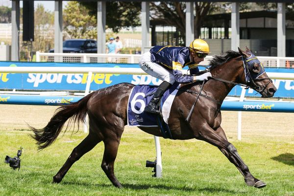 Coeur Volante Lands Inside Draw for G1 Race