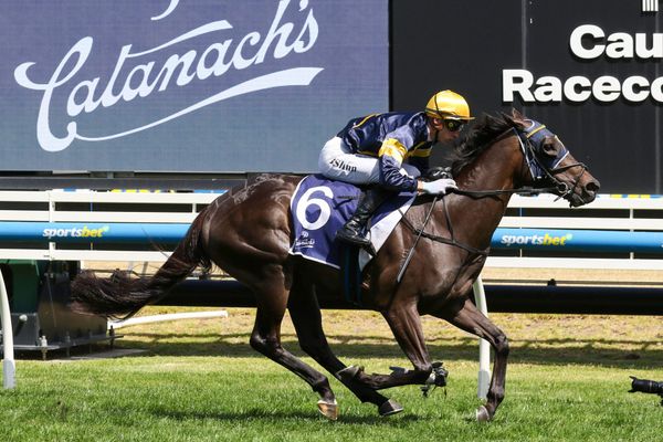 Coeur Volante bidding for emotional Coolmore result