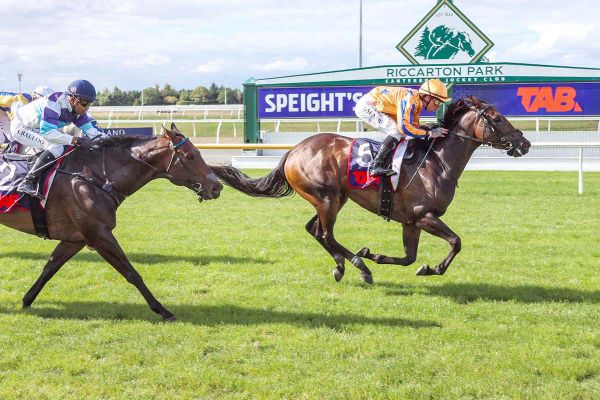 Promising Filly Makes Dream Return
