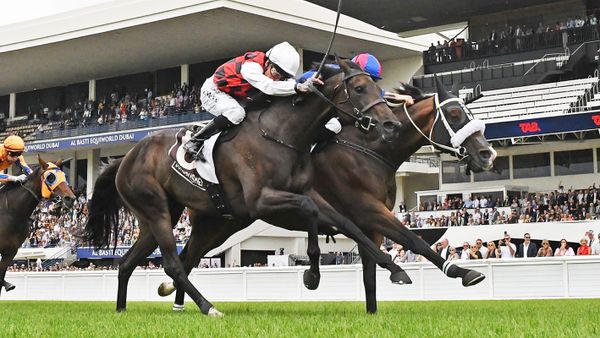 Thrilling finish to Bonecrusher New Zealand Stakes