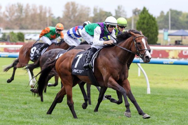 Caulfield windfall for Electric Belle