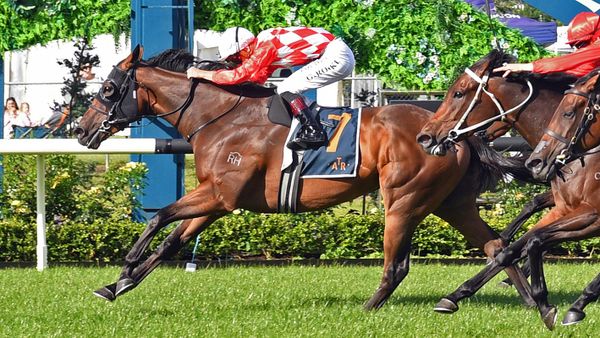 Hasstobeawinner Earns Shot at Group Two Glory