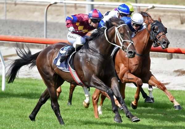 Herbert aims to go out on a high