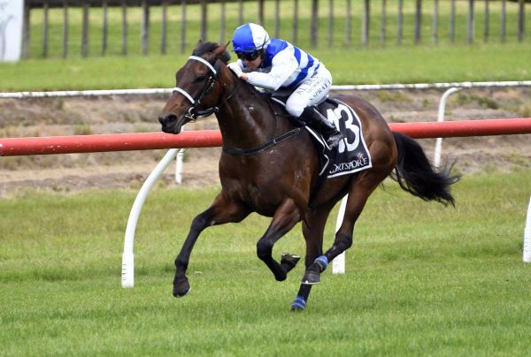 Island Life to add to family’s big week