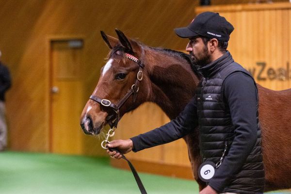 Entries Open for 2025 National Weanling Sale